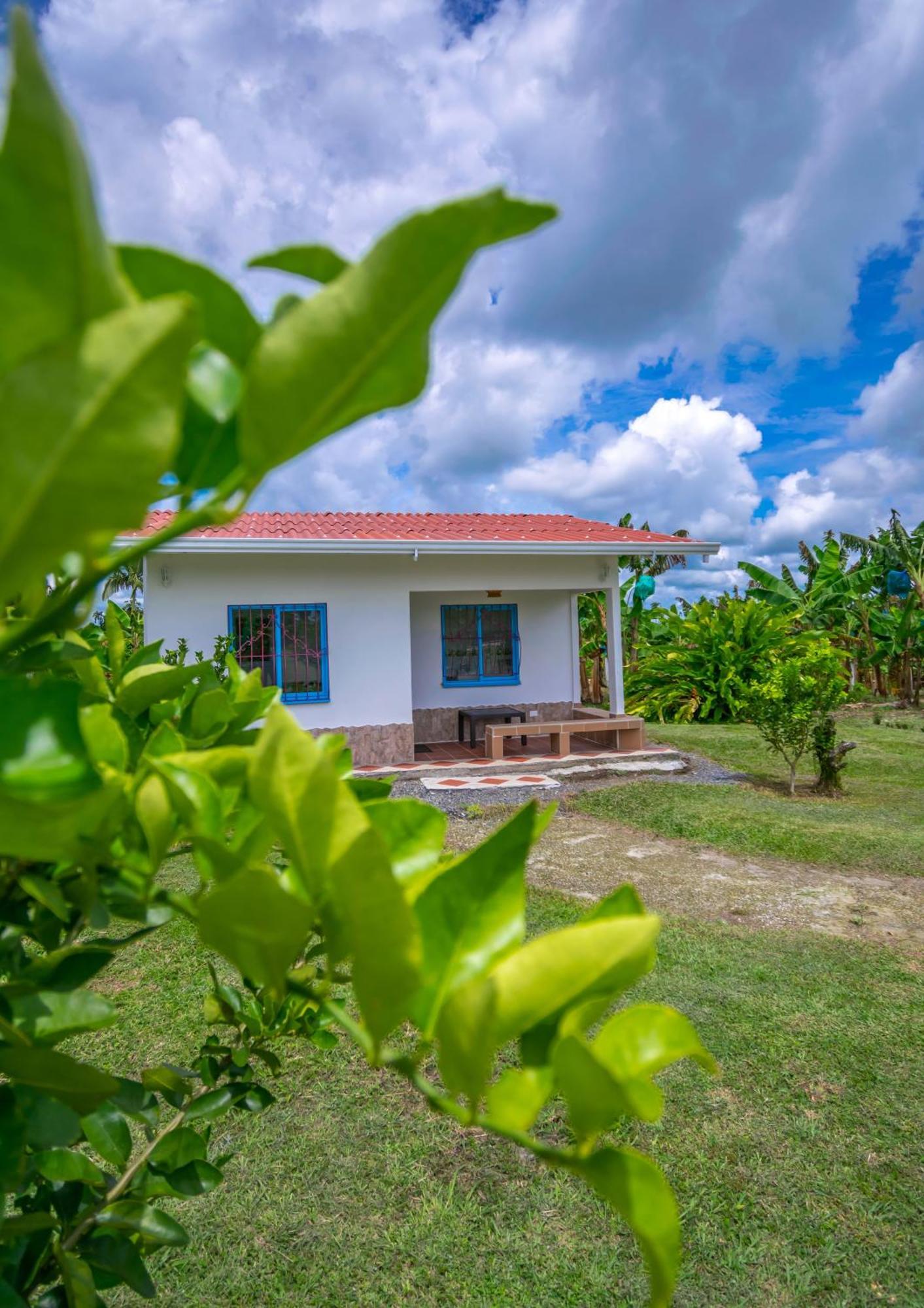 Finca Hotel El Ocaso Quimbaya Zewnętrze zdjęcie